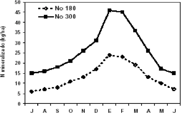 Figura  3:  Distribución  estacional  de  las  tasas  de  mineralización  de  nitrógeno  en 