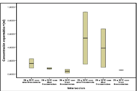 Fig. 4: Efecto de la temperatura ambiental y frecuencia de colección seminal  por  semana  sobre  la  concentración  espermática  de  los  cerdos  (experimento 1)