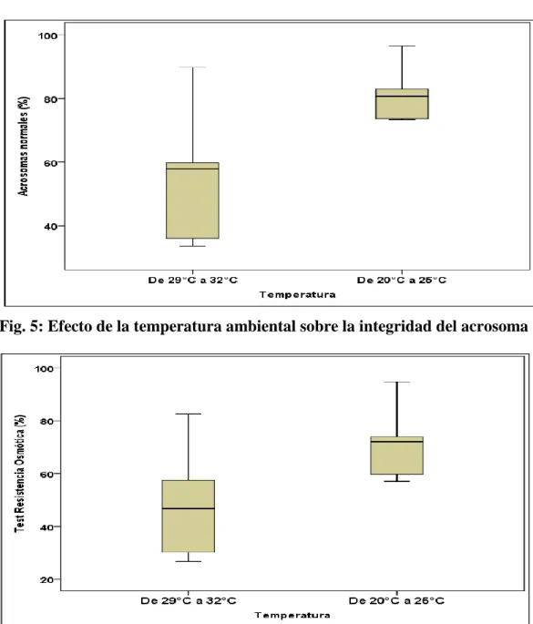 Cuadro  20:  Efecto  de  la  temperatura  ambiental  sobre  la  integridad  del  acrosoma y test de resistencia osmótica (experimento 1) 