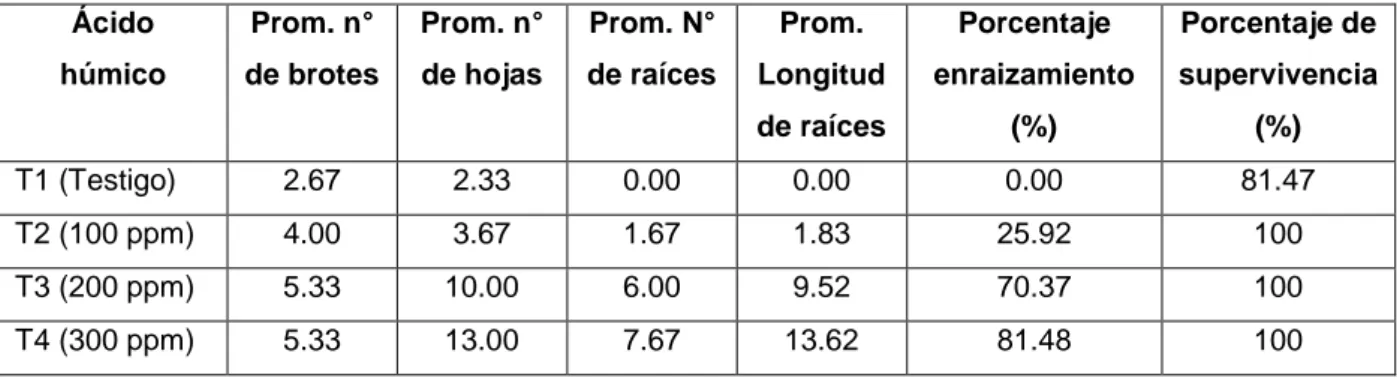 Tabla  2:  Efecto  del  ácido  húmico  en  los  parámetros  evaluados  en  la  propagación por estacas de Smallanthus jelskii 