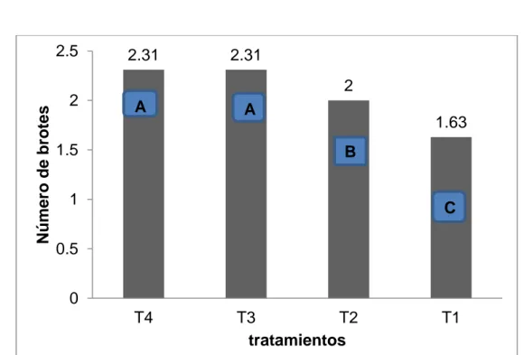 Tabla  4.  Prueba  de  significación  de  Duncan  al  5%  de  probabilidades  para  el  número de brotes (datos transformados con       √  )