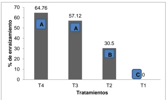 Figura  8.  Efecto  del  ácido  húmico  para  el  porcentaje  de  enraizamiento  de  Smallanthus jelskii