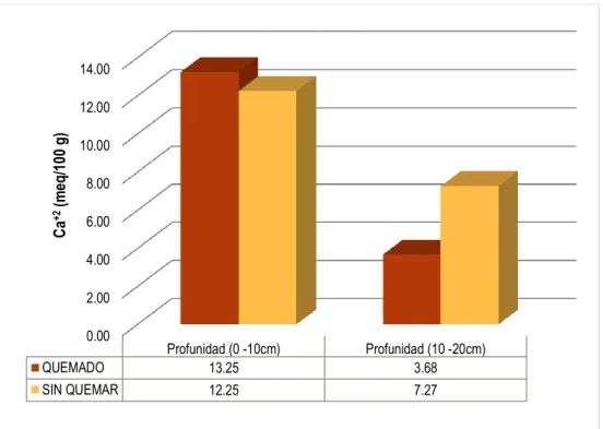 Figura 13. Comparación del catión Ca  +2  entre el suelo quemado y el suelo sin quemar