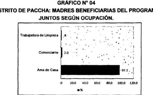 GRÁFICO No  04 