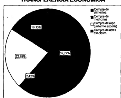 GRÁFICO N° 07 