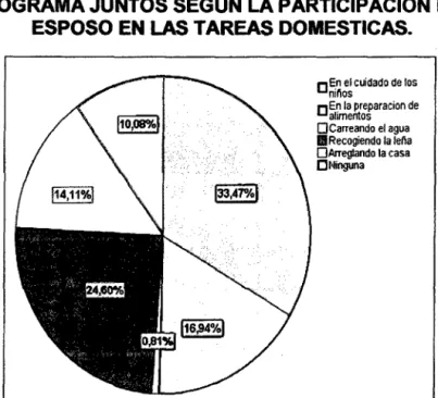 GRÁFICO No  11 
