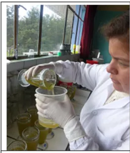 Fig. 11.  Decantando la muestra.  