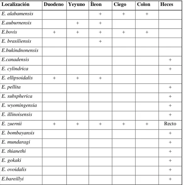 Tabla 1: Niveles de localización de las Eimerias  (Quiroz 2005, 123) 