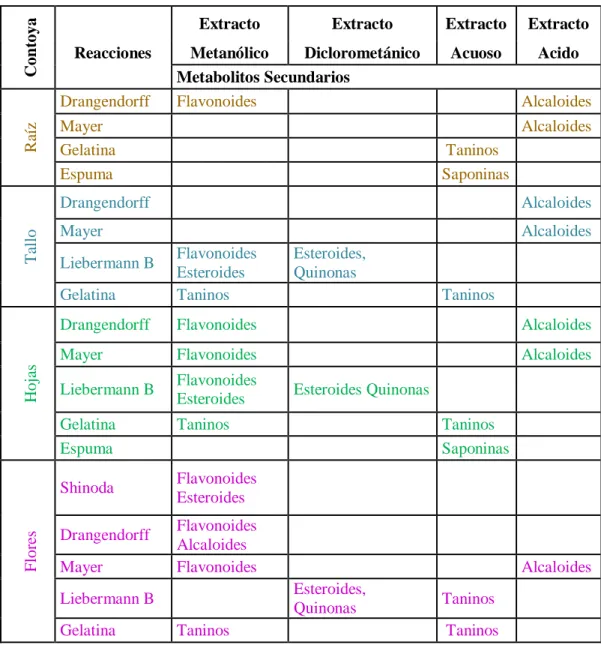 Tabla 2. Metabolitos secundarios  de las diferentes partes de la planta de  contoya,   UNMM (2013); Reyna (2004)