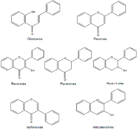 Figura 5. Estructuras químicas de  distintos  clase de flavonoides (Viña 2013,  111) 