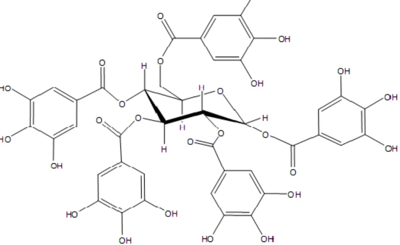 Figura 6. Estructura química de un tanino hidrolizable (Viña 2013, 123) 