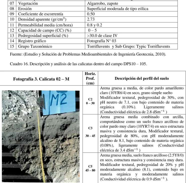 Cuadro 16. Descripción y análisis de las calicatas dentro del campo DPS10 – 105. 