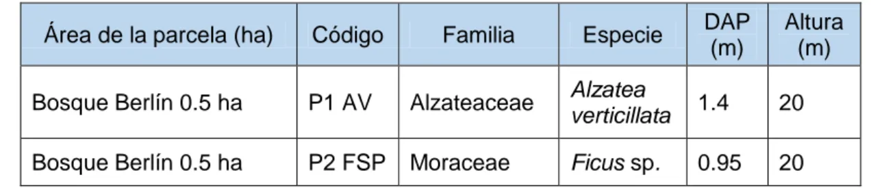 Tabla 2. Forofitos seleccionados y el código asignado para el estudio 