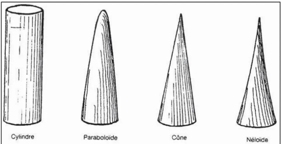 Figura 2. Sólidos drendrométricos (Pardé 1961). 