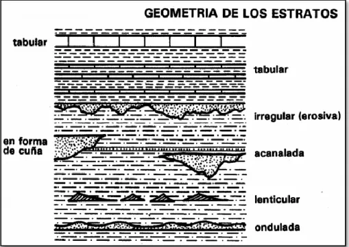 Figura 8 Geometría de los estratos (Harris, 1991) 