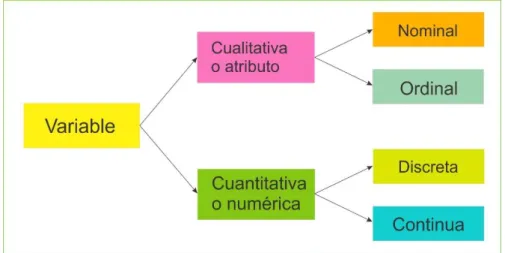 Figura 3. Tipos de variables. 
