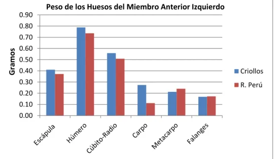 Fig. 4. Peso de los huesos del Miembro Anterior Izquierdo en gramos. 