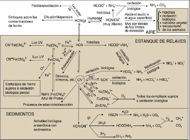 Figura 2. Degradación natural del cianuro  Fuente: Smith y Mudder (1991). 