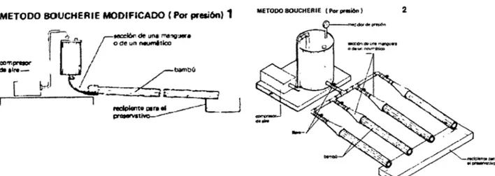 Figura 27.  Método Boucherie modificado 