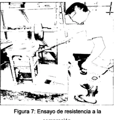 Figura 7:  Ensayo de resistencia a la  compresión. 