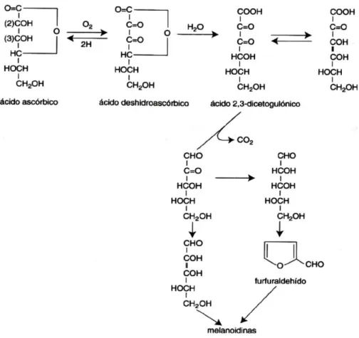 Figura 3.  Degradación del ácido ascórbico  Fuente: (Badui 1999). 