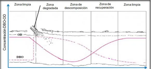 Fig. 2 zonas de autodepuración de un río. Fuente: Monte, 2013. 