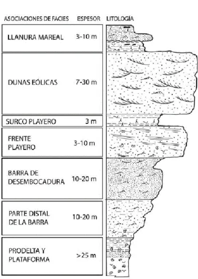 Figura 17. Sucesión sedimentaria ideal de un delta dominado por la acción de las olas inspirada en  el ejemplo del río São Francisco (Modificado de Coleman, 1976; Arche, 2010)