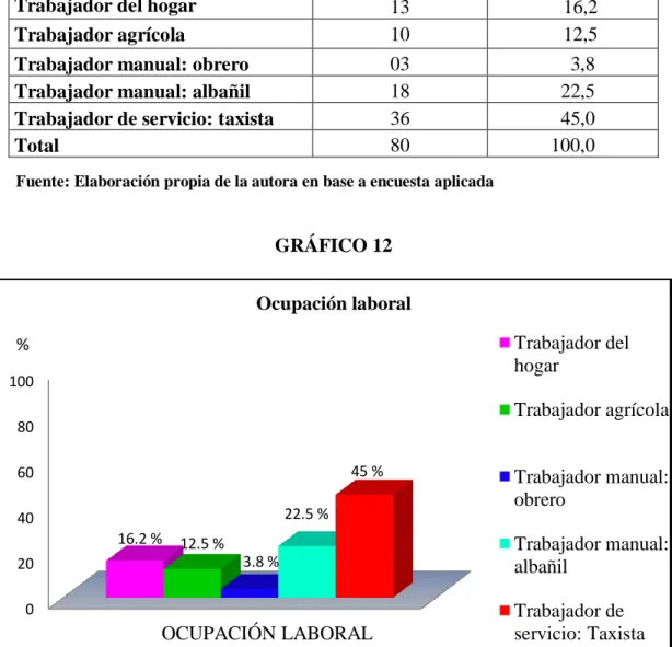 GRÁFICO 12 