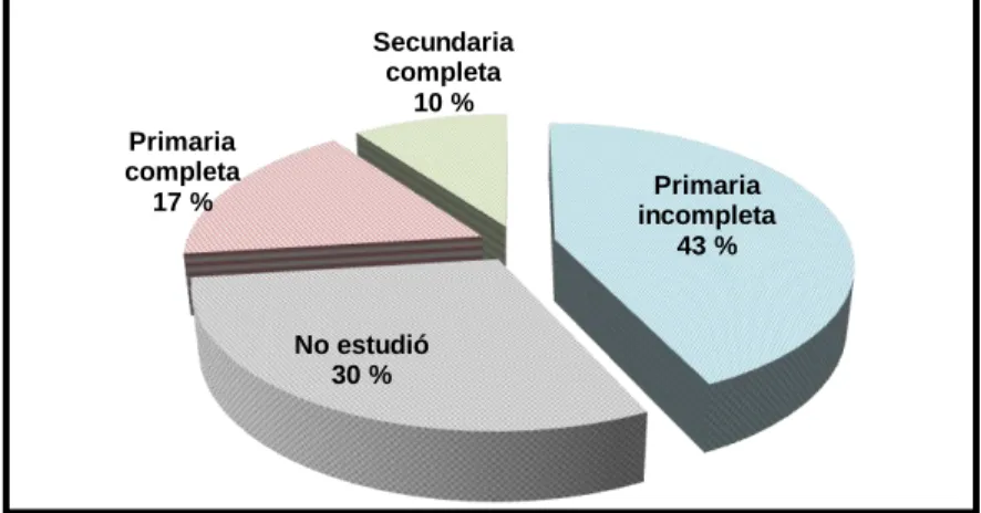 Gráfico 1. Nivel educativo 