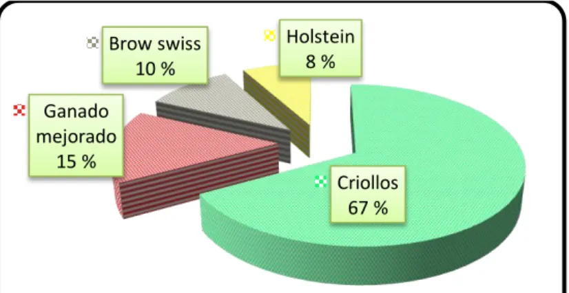 Gráfico 3. Raza de ganado de leche 