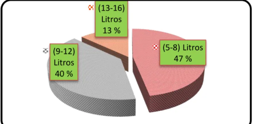 Gráfico 5. Producción de leche. 