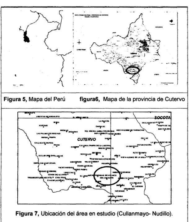 Figura  5,  Mapa del Perú 