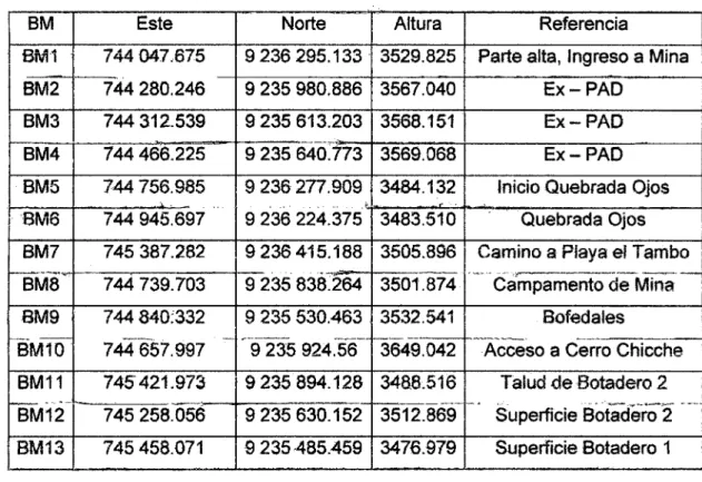 Cuadro 1:  Coordenadas de BM. 