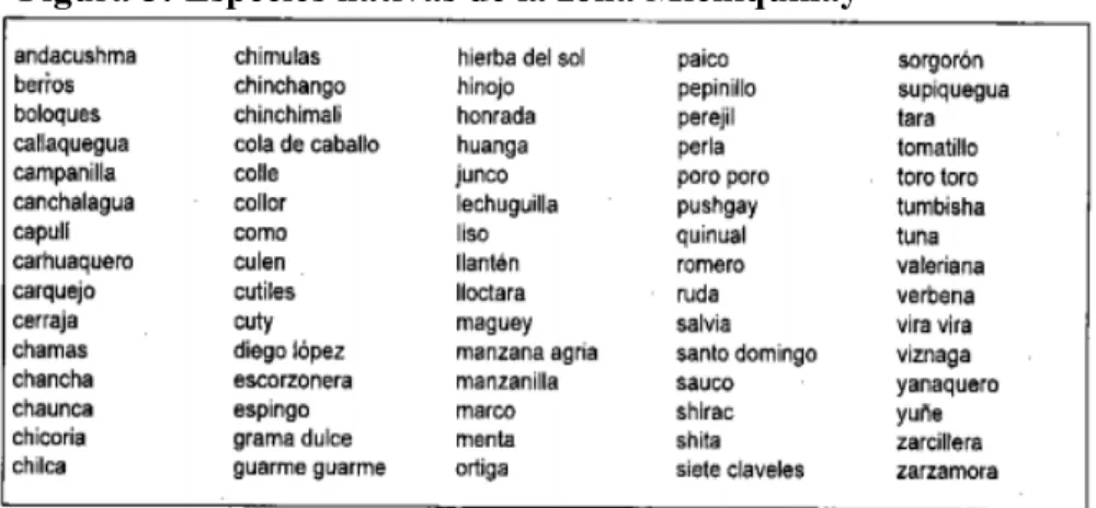 Figura 5: Especies nativas de la zona Michiquillay 