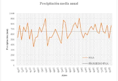 Figura 03. Gráfico de la precipitación media anual de los últimos 48 años 