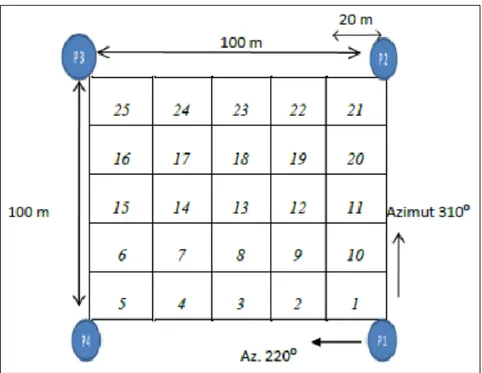 Figura 1. Diseño del método de la parcela de una hectárea 