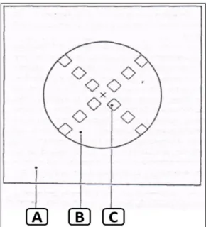 Figura 2. Esquema de una unidad de muestreo (método Brun 1976) 