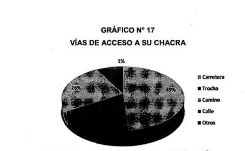 GRÁFICO No  17 
