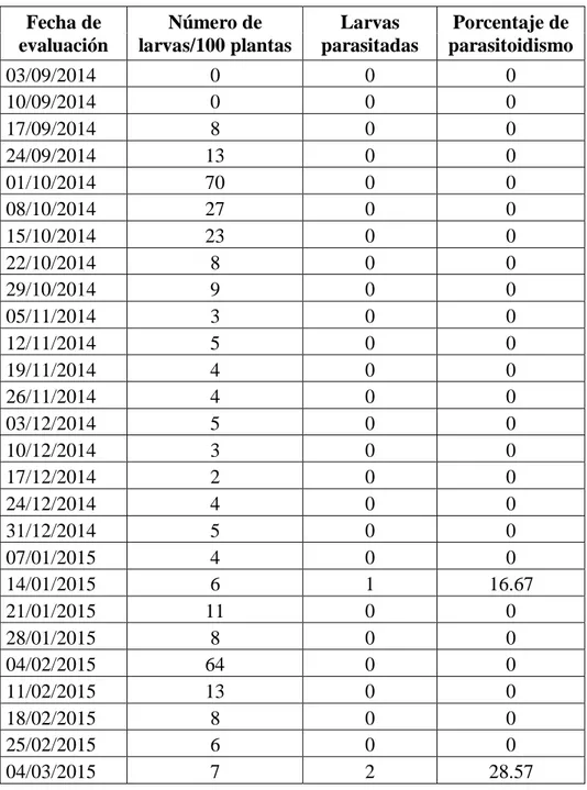 Cuadro 4. Número de larvas de Copitarsia turbata; larvas parasitadas y porcentaje de  parasitoidismo en el cultivo de alcachofa, Cajamarca - Perú (2014 - 2015)