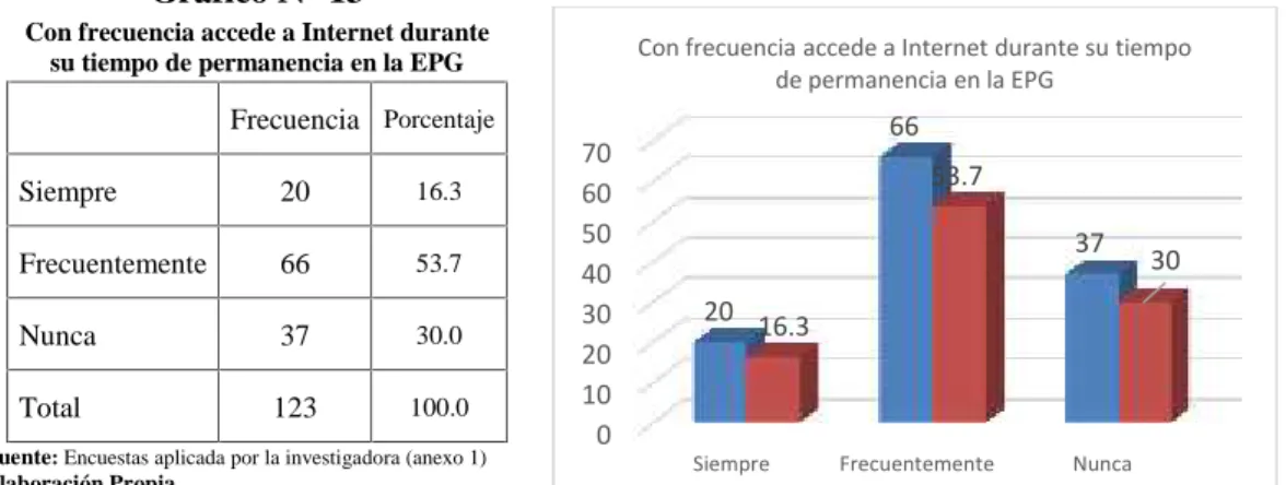 Gráfico Nº 13