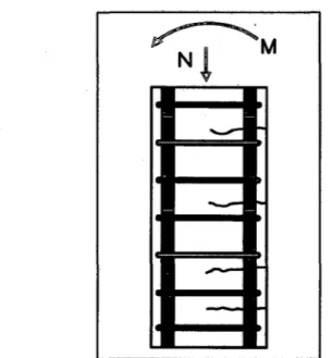 Figura  16.  Esquemas de fisuración  de una columna sometida a  Flexión compuesta con  excentricidad (Broto,  2004) 