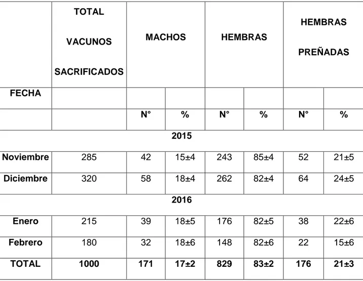 Tabla 4.  Número total de vacunos sacrificados en el Camal Municipal de  Cajamarca durante el tiempo del estudio