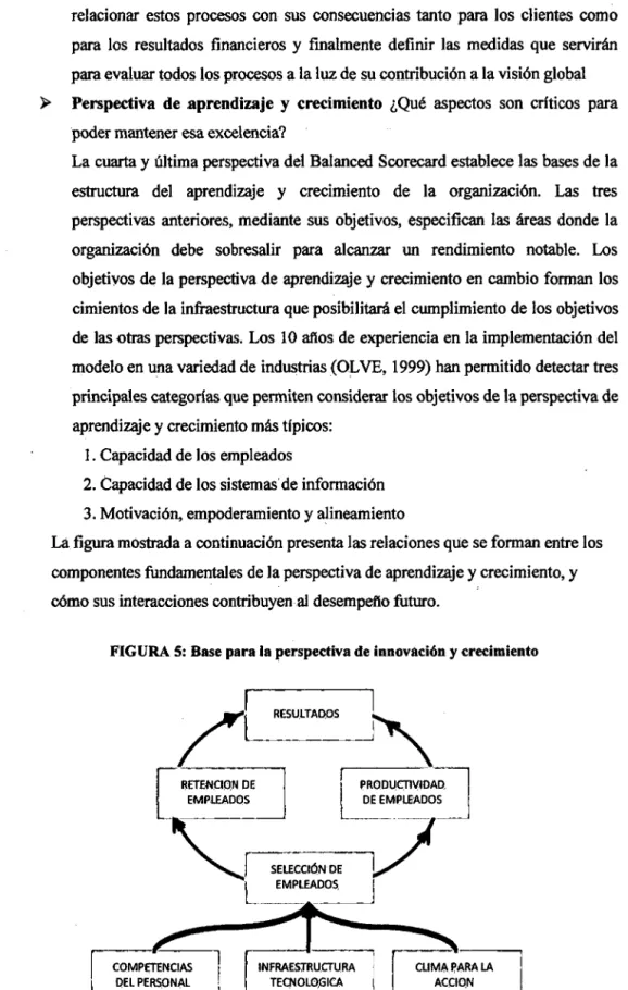FIGURA S:  Base para la perspectiva de innovación y crecimiento 