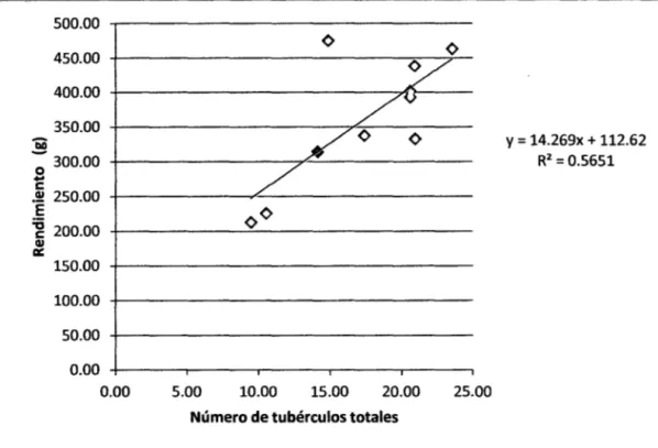 Figura 6. Regresión lin€al €ntr€ el núm€ro d€ tubérculos total€s y r€ndimiento de di€z  cultivares de papa chaucha de Cajamarca