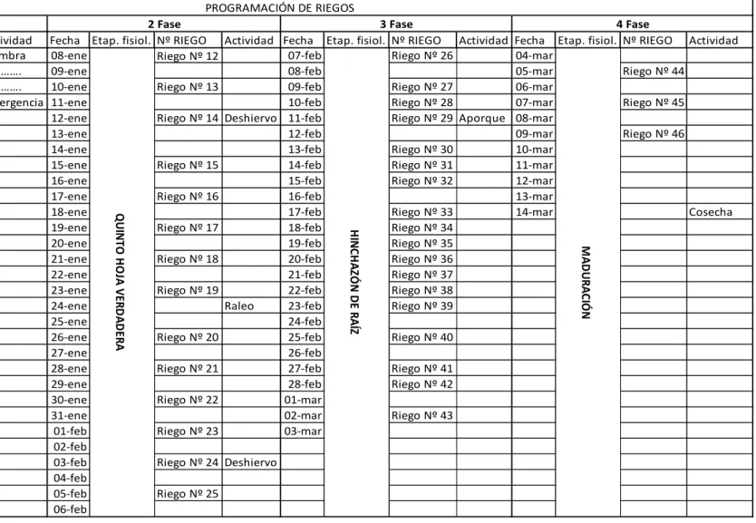 Tabla 30. Programación del riego durante la conducción del cultivo  