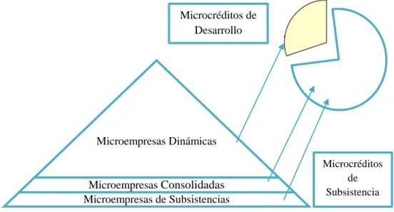 Figura 7: Tipos de Microempresas frente a tipos de microcréditos 