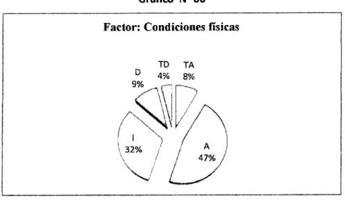 Gráfico  No 06 