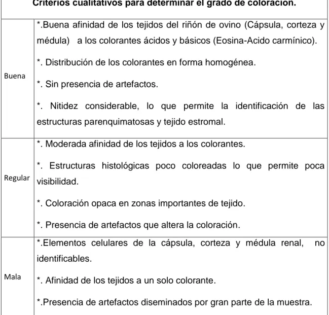 Tabla 1.  Determinar el  grado de  coloración  para evaluar la calidad  de   tinción  del  colorante  Ácido  Carmínico-Eosina  (según  Velázquez, 2015)