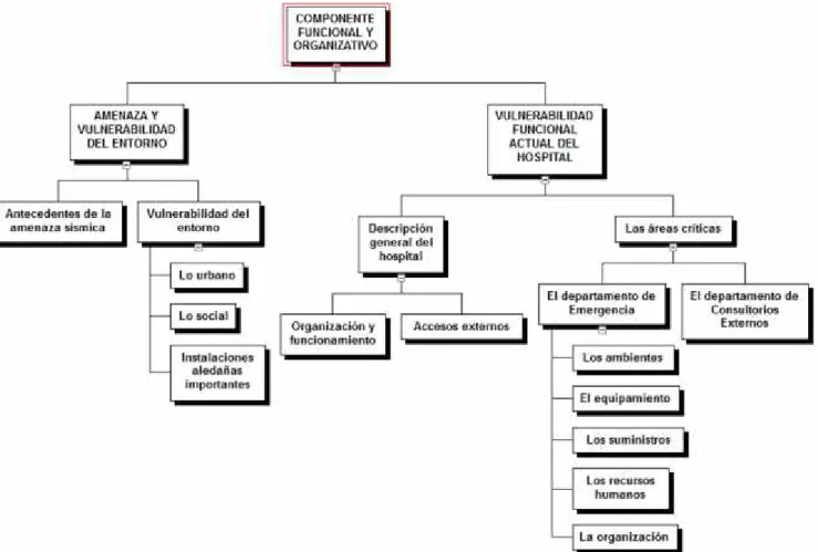 Figura 2.13 Componente Funcional y Organizativo