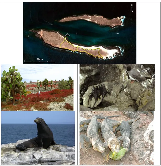 Figura 2: Recorrido Isla Plaza Sur 